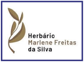 Acesso ao Herbário Marlene Freitas da Silva
