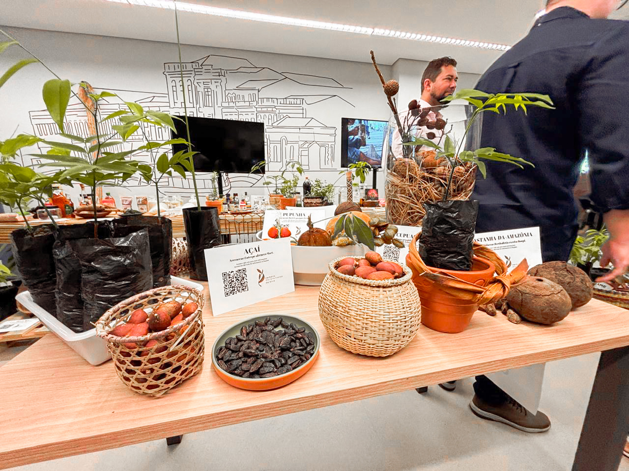 Abertura da Expo Uepa