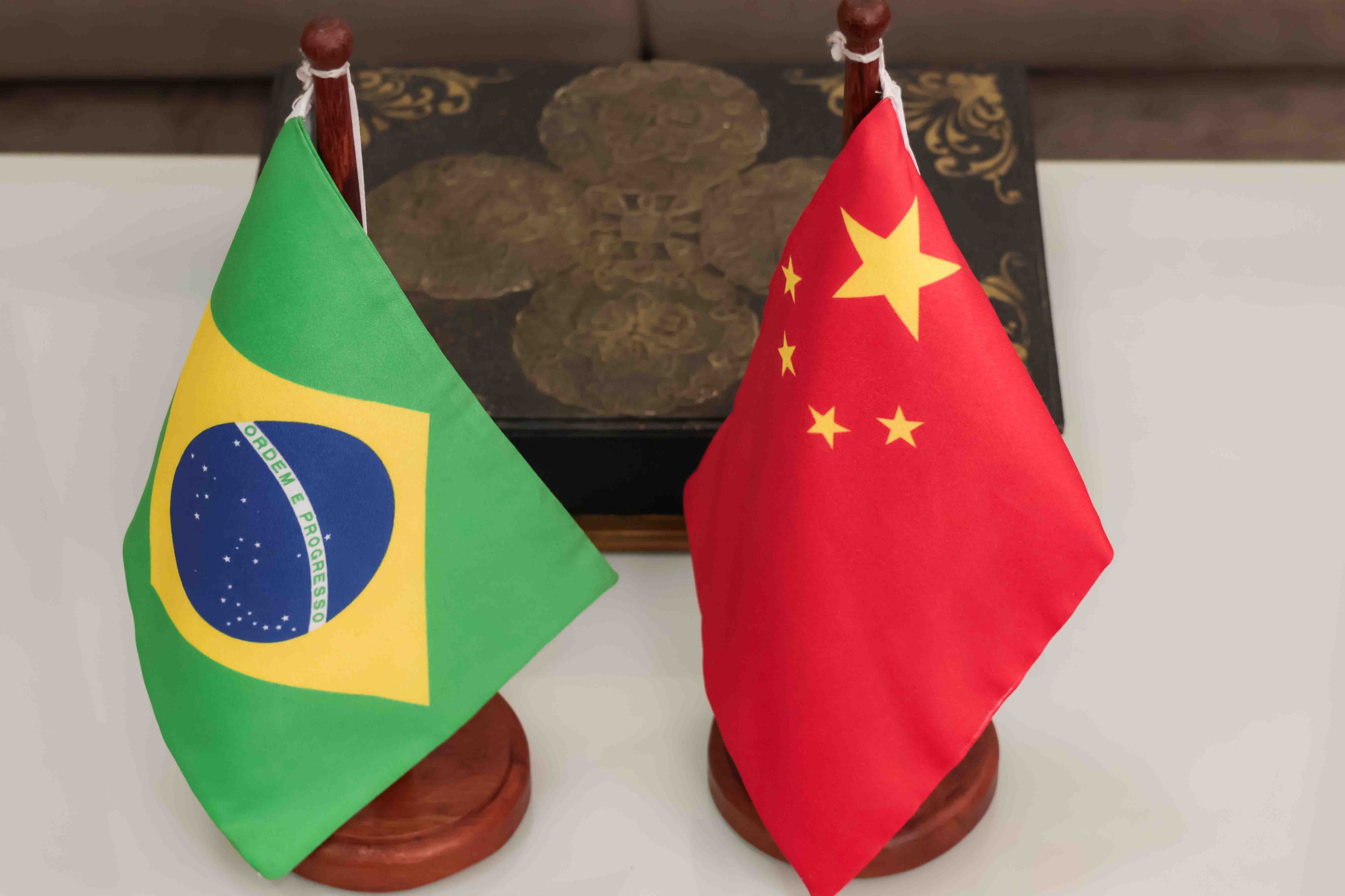 Visita do Sr. YU Fuwen, da Pequim Chongyue Culture Co. Ltda, que doou 150 exemplares do livro intitulados “Xi JINGPING: A Governança da China”, à Biblioteca da UEPA e ao Instituto Confúcio.