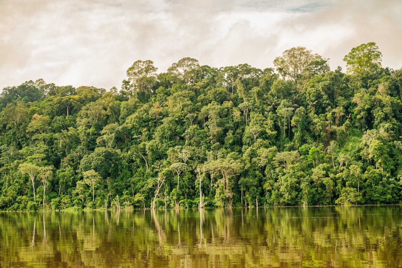A imagem mostra uma paisagem de floresta da Amazônia. No primeiro plano, há um rio de águas calmas, que reflete as árvores e o céu. A vegetação é rica, com árvores de diferentes alturas, copas bem fechadas e tonalidades variadas de verde.