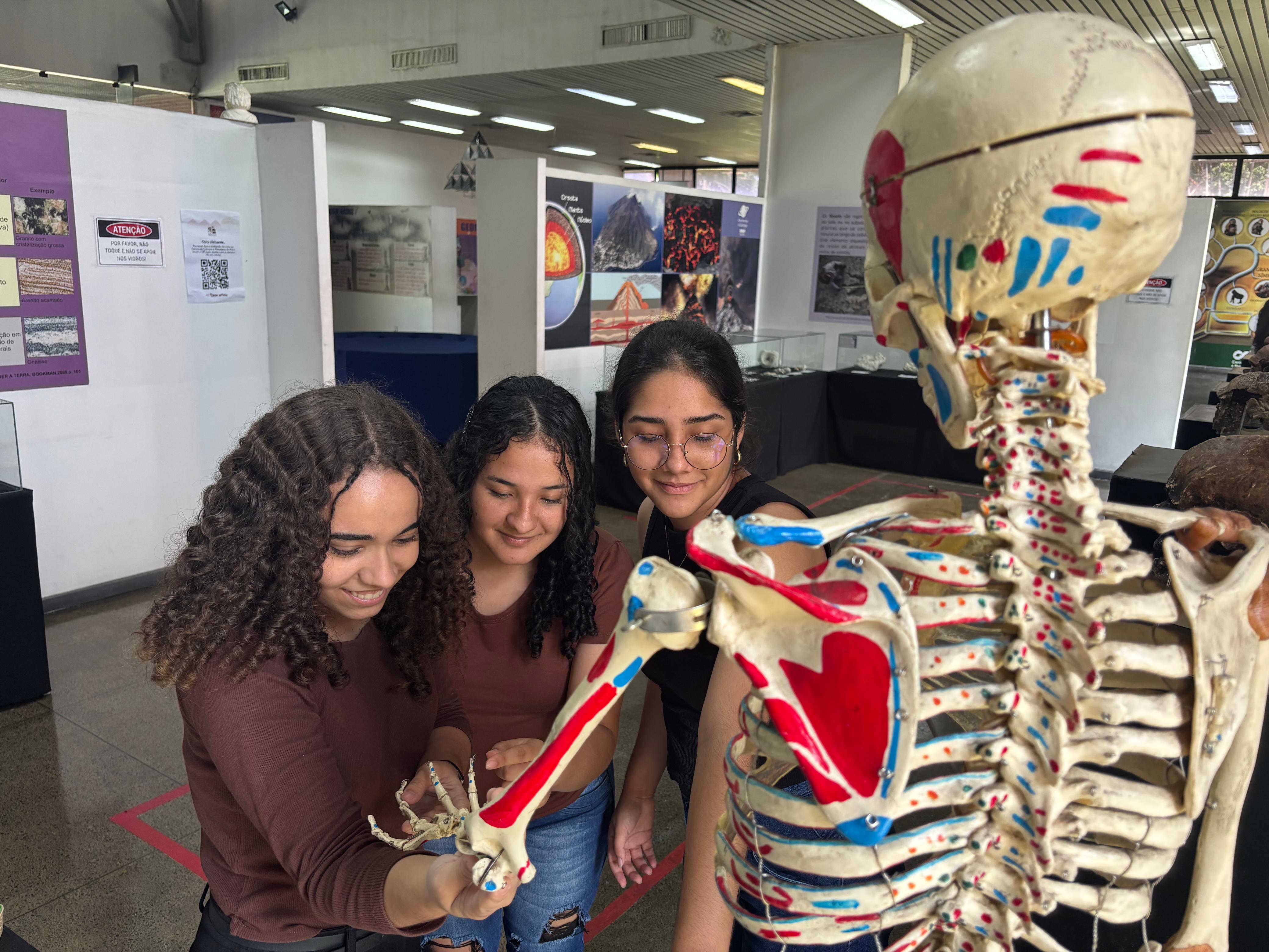 Na imagem, vemos três monitoras do CCPPA observando, atentamente, um esqueleto humano anatômico colorido. Elas estão na área da Biologia do Centro de Ciências. O esqueleto apresenta marcações coloridas em vermelho, azul e verde, indicando diferentes partes musculares, articulações ou regiões anatômicas. As jovens estão sorrindo e demonstram interesse. Ao fundo, há painéis informativos e pôsteres, reforçando o caráter de divulgação científica do Centro de Ciências e Planetário do Pará.