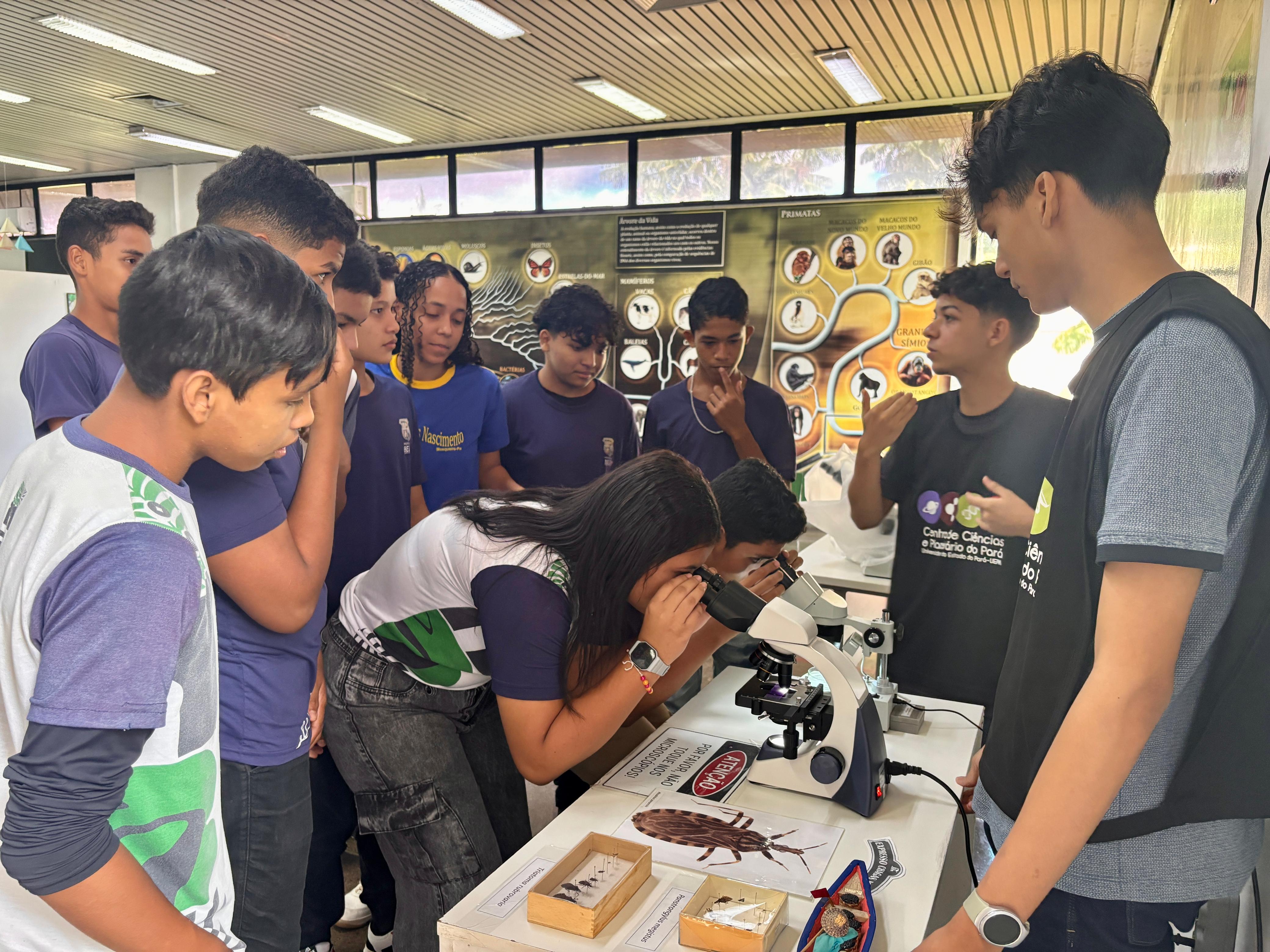 Estudantes observam o inseto conhecido popularmente como barbeiro, no espaço da Biologia, durante visitação escolar realizada no Centro de Ciências e Planetário do Pará.