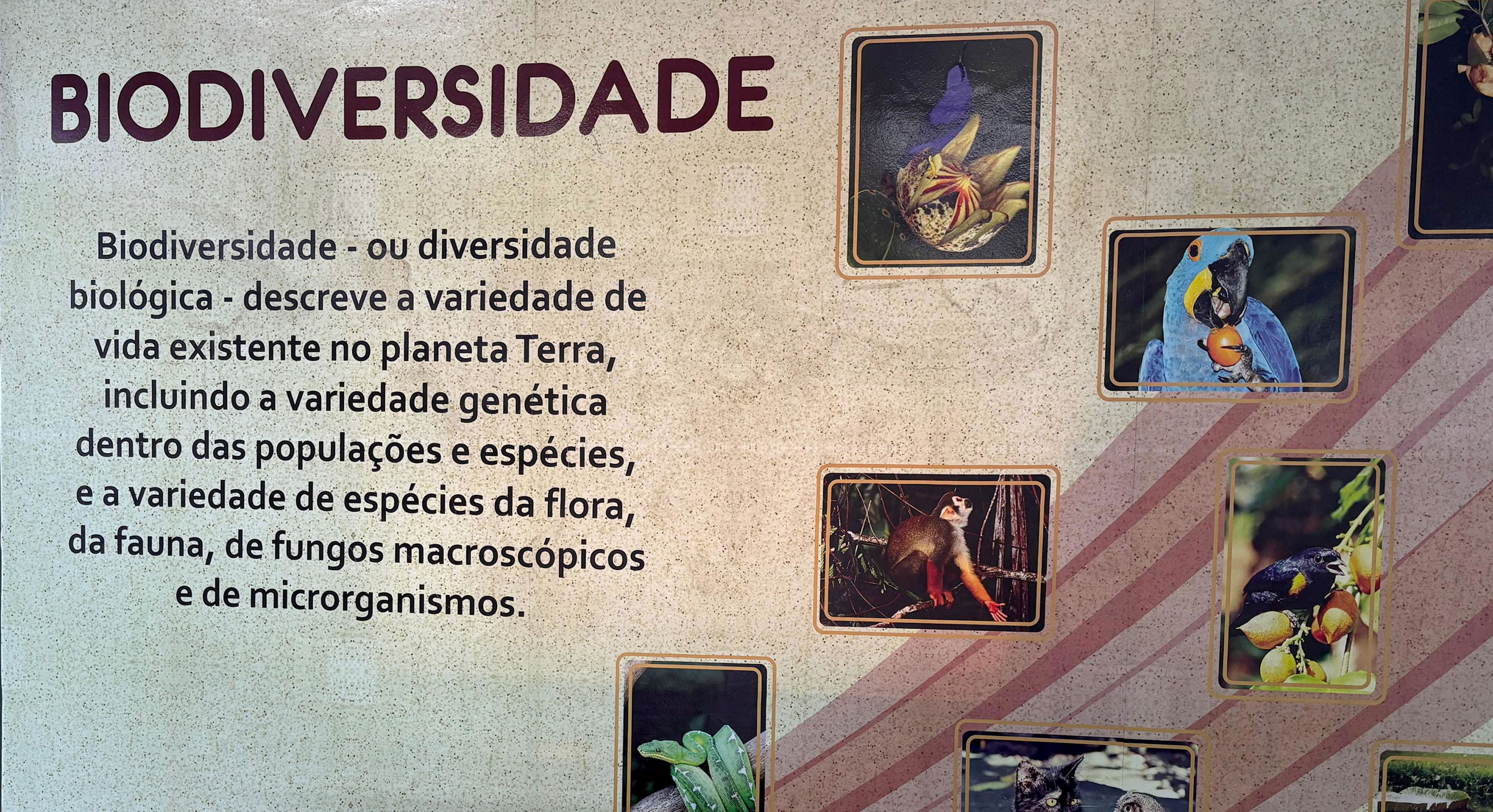 Programação do Planetário será em alusão ao Dia Mundial do Meio Ambiente