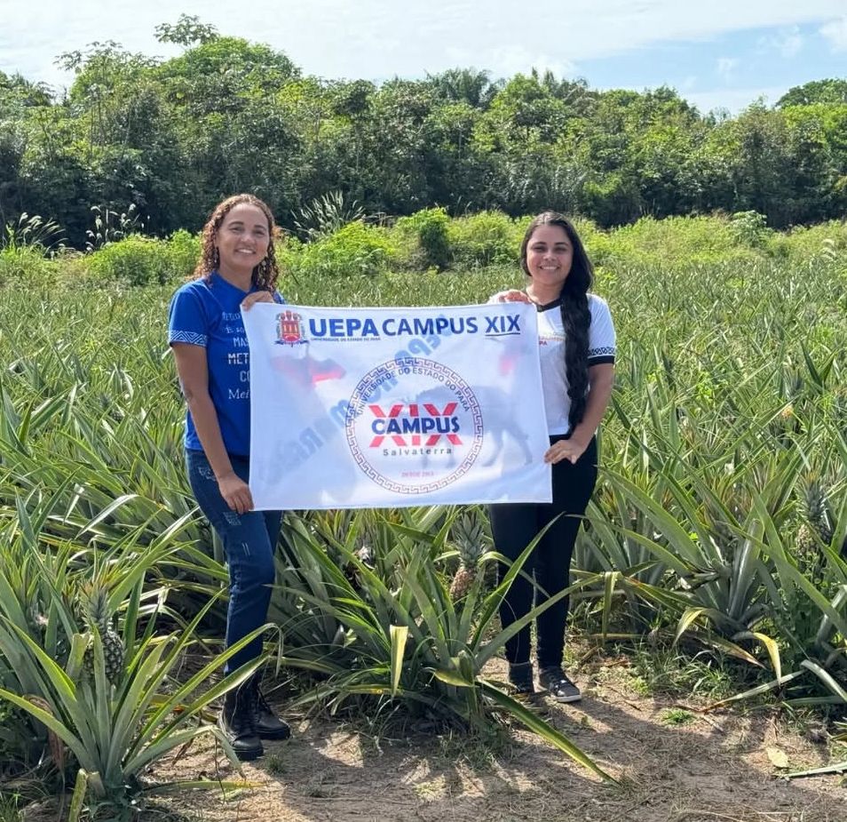 A imagem mostra duas mulheres em meio ao cultivo de abacaxis segurando uma bandeira branca da UEPA Campus XIX - Salvaterra. Elas sorriem para a câmera, representando o envolvimento acadêmico e a pesquisa de campo realizada pela Universidade do Estado do Pará na região.