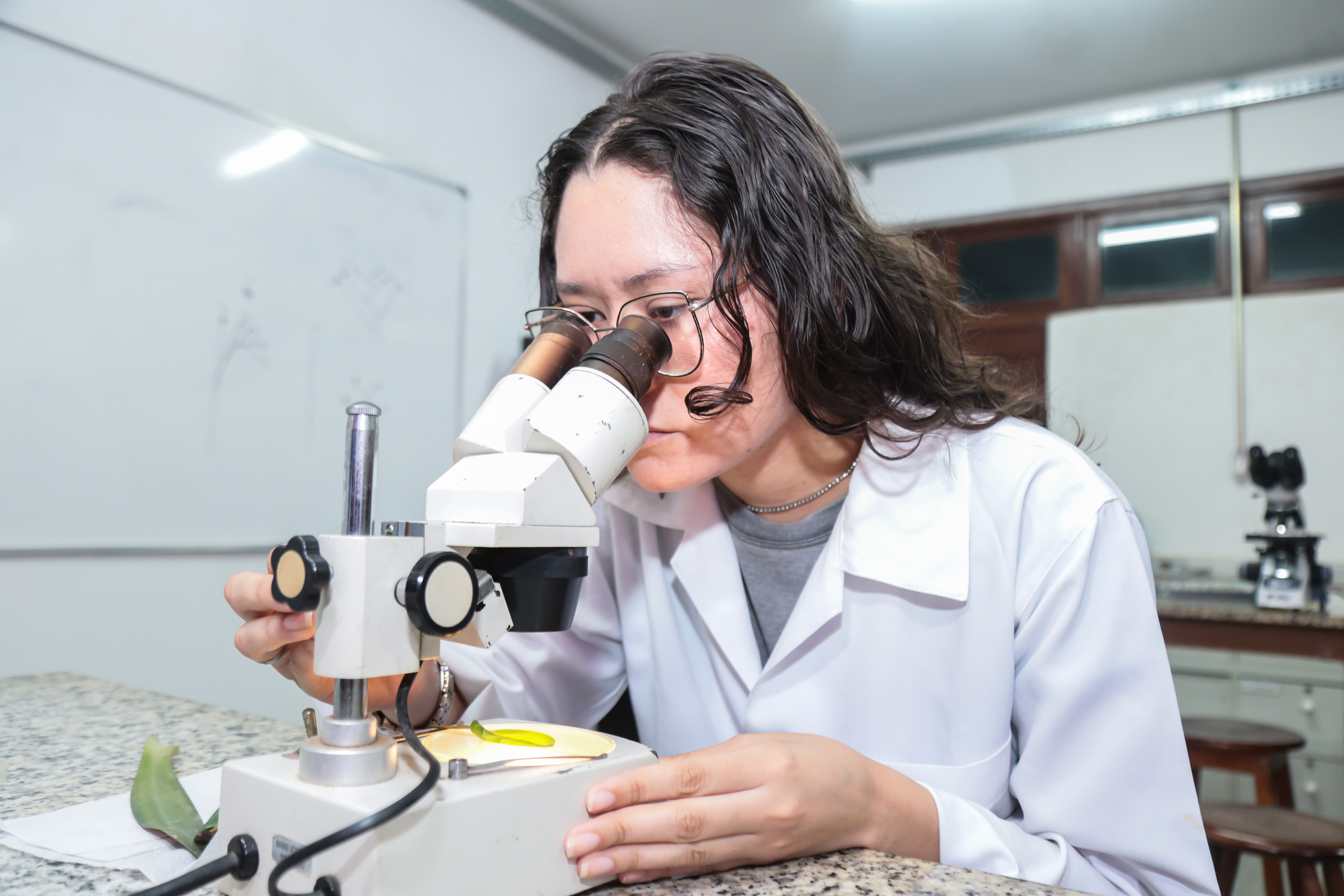 A imagem mostra uma jovem usando um jaleco branco, observando folhas através de um microscópio. Na lâmina de vidro sob o microscópio, parece haver uma substância amarela que está sendo examinada. O ambiente sugere ser um laboratório científico, indicado pela presença de outro microscópio ao fundo e um quadro branco com algumas anotações.  Parece que a pessoa está realizando algum tipo de pesquisa ou análise científica, o que é essencial em áreas como biologia, medicina e ciência dos materiais.