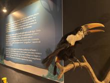 Semana do Meio Ambiente no CCPPA - Foto: Monique Hadad