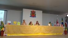 Seminário Maio Amarelo - Geppem/CCSE