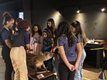 Semana do Meio Ambiente no CCPPA - Foto: Monique Hadad