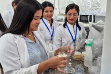  I Workshop de Biomateriais em Castanhal