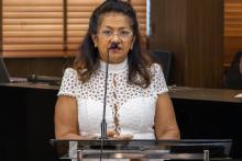 Sessão Especial na Alepa Celebra os 55 Anos do Curso de Medicina da Uepa