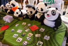 Dia da China Uepa 2024