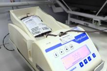 A Coordenadoria de Desenvolvimento de Pessoas (Codepe - Uepa) em parceria com a Fundação Hemopa, realiza campanha de doação de sangue na reitoria da Universidade Estadual do Pará (Uepa), nesta segunda - feira, 27, das 9 às 15h. Foto: Sidney Oliveira/Ascom Uepa.