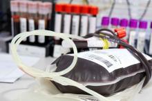 A Coordenadoria de Desenvolvimento de Pessoas (Codepe - Uepa) em parceria com a Fundação Hemopa, realiza campanha de doação de sangue na reitoria da Universidade Estadual do Pará (Uepa), nesta segunda - feira, 27, das 9 às 15h. Foto: Sidney Oliveira/Ascom Uepa.