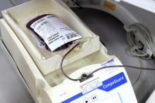 Campanha de doação de sangue no campus do CCSE da Uepa. Foto: Sidney Oliveira/Ascom Uepa