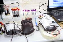 Campanha de doação de sangue no campus do CCSE da Uepa. Foto: Sidney Oliveira/Ascom Uepa