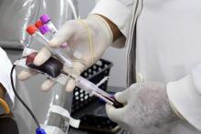 Campanha de doação de sangue no campus do CCSE da Uepa. Foto: Sidney Oliveira/Ascom Uepa