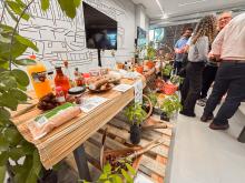 Abertura da Expo Uepa