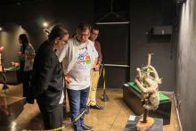 O Centro de Ciências e Planetário do Pará (CCPPA) realiza a exposição “Biodiversidade em foco: seres da fauna amazônica” - Foto: Sidney Oliveira/Ascom Uepa.