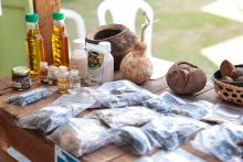 O Campus XXll de Ananindeua, realizou a Feira Vocacional 2024 na Usina da Paz do Icuí - Guajará, na sexta - feira, 18. Foto: Marília Jardim/Ascom Uepa