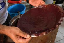 Feira do Empreendedor e Açaí Musical nos 80 Anos da Escola de Enfermagem