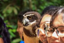 Grupo APOIA homenageia mães de pessoas autistas
