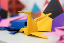 Programação de férias do Centro de Ciências e planetário do Pará