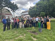 Semana do Meio Ambiente no CCPPA - Foto: Monique Hadad