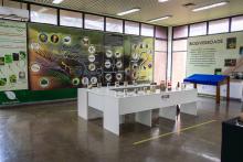 ASTROCIÊNCIA 2026: Projeto de Extensão para o Incentivo de Meninas nas Ciências no Pará