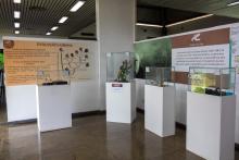 ASTROCIÊNCIA 2026: Projeto de Extensão para o Incentivo de Meninas nas Ciências no Pará