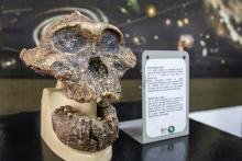 ASTROCIÊNCIA 2026: Projeto de Extensão para o Incentivo de Meninas nas Ciências no Pará