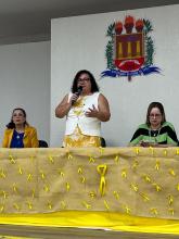 Seminário Maio Amarelo - Geppem/CCSE