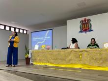 Seminário Maio Amarelo - Geppem/CCSE