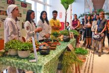 Exposição Comida Cabocla 