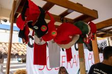 IX Feira da Reforma Agrária Popular
