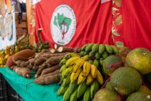IX Feira da Reforma Agrária Popular