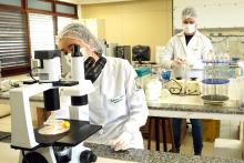 Laboratório de Biologia Molecular - PPGBPA - Foto: Marcelo Rodrigues/Ascom Uepa