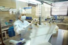 Laboratório de Biologia Molecular - PPGBPA - Foto: Marcelo Rodrigues/Ascom Uepa