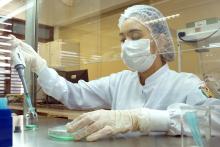 Laboratório de Biologia Molecular - PPGBPA - Foto: Marcelo Rodrigues/Ascom Uepa