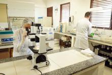 Laboratório de Biologia Molecular - PPGBPA - Foto: Marcelo Rodrigues/Ascom Uepa