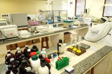 Laboratório de Biologia Molecular - PPGBPA - Foto: Marcelo Rodrigues/Ascom Uepa