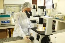 Laboratório de Biologia Molecular - PPGBPA - Foto: Marcelo Rodrigues/Ascom Uepa