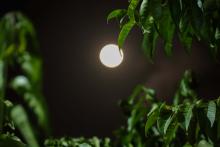 Mais de 180 pessoas compareceram na Usina da Paz do Benguí, nesta quinta-feira, 14, para a observação do céu noturno proporcionada pelo Centro de Ciências e Planetário do Pará.