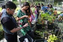 Planetário promove minicurso e oficinas de férias. Na foto, oficina de Mini Terrário - Foto: Sidney Oliveira / Ascom Uepa