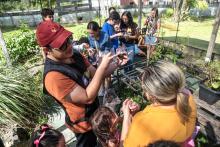 Planetário promove minicurso e oficinas de férias. Na foto, oficina de Mini Terrário - Foto: Sidney Oliveira / Ascom Uepa