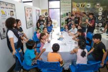 Planetário promove minicurso e oficinas de férias. Na foto, oficina de Mini Terrário - Foto: Sidney Oliveira / Ascom Uepa