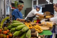 Governo do Pará entrega Polo Amazônico de Gastronomia e destaca graduação inédita da Uepa