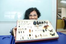 Uepa promove curso e exposição na SBPC - Foto: Sidney Oliveira/Ascom Uepa.