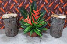 O Programa de Pós-Graduação em Educação (PPGED), da Universidade do Estado do Pará (Uepa), realiza o seu XIX Seminário, intitulado: Educação nas amazônias em contexto de crise socioambiental: pesquisas e diálogos interculturais. rama de Pós-Graduação em Educação (PPGED), da Universidade do Estado do Pará (UEPA), realiza o seu XIX Seminário, intitulado: Educação nas amazônias em contexto de crise socioambiental: pesquisas e diálogos interculturais. 