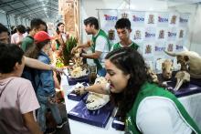 A Universidade Estadual do Estado do Pará expõe a Coleção Zoológica na 76° Feira Anual do SBPC - Foto: Sidney Oliveira/Ascom Uepa