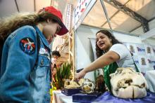 A Universidade Estadual do Estado do Pará expõe a Coleção Zoológica na 76° Feira Anual do SBPC - Foto: Sidney Oliveira/Ascom Uepa